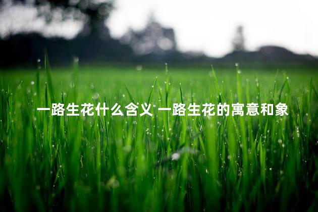 一路生花什么含义 一路生花的寓意和象征
